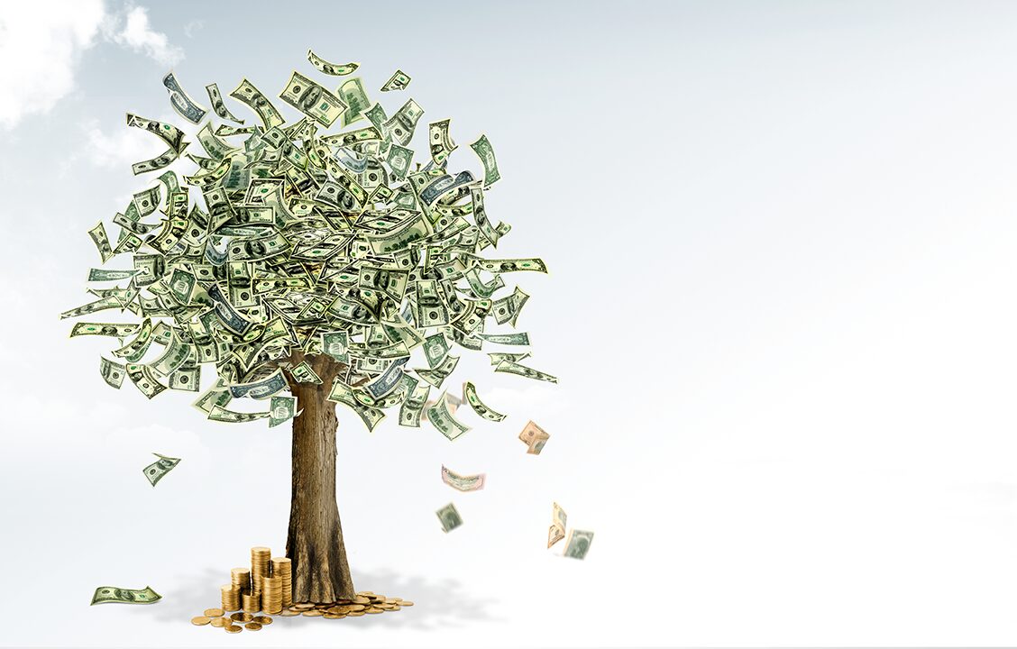 The Magic Money Tree and the Rise of Gold: Why Smart Investors are Buying Now