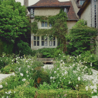 Get back to work! Trump just cancelled Congress' vacations…