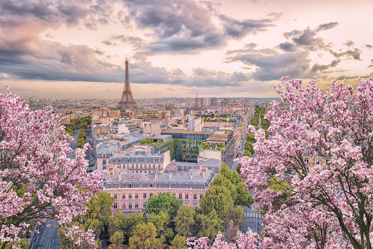 Paris in bloom—where soft pink petals, golden light, and timeless rooftops turn the city into a dream.