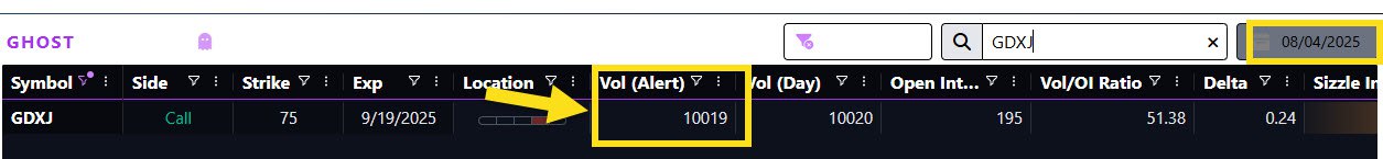 GDXJ Trade